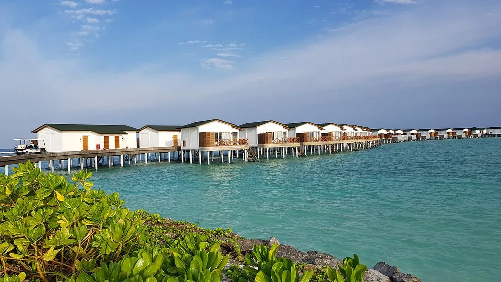 Joy Island Maldives: Отель и удобства 2