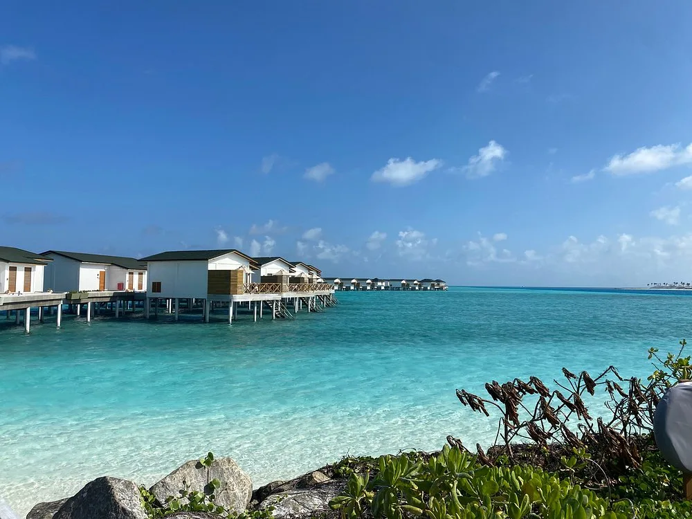 Joy Island Maldives: Отель и удобства 4
