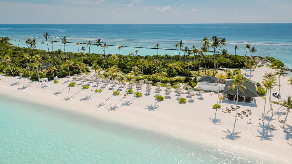 Joy Island Maldives: Бассейн и пляж 12